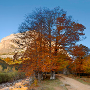 Parque Nacional de Ordesa en otoño 
